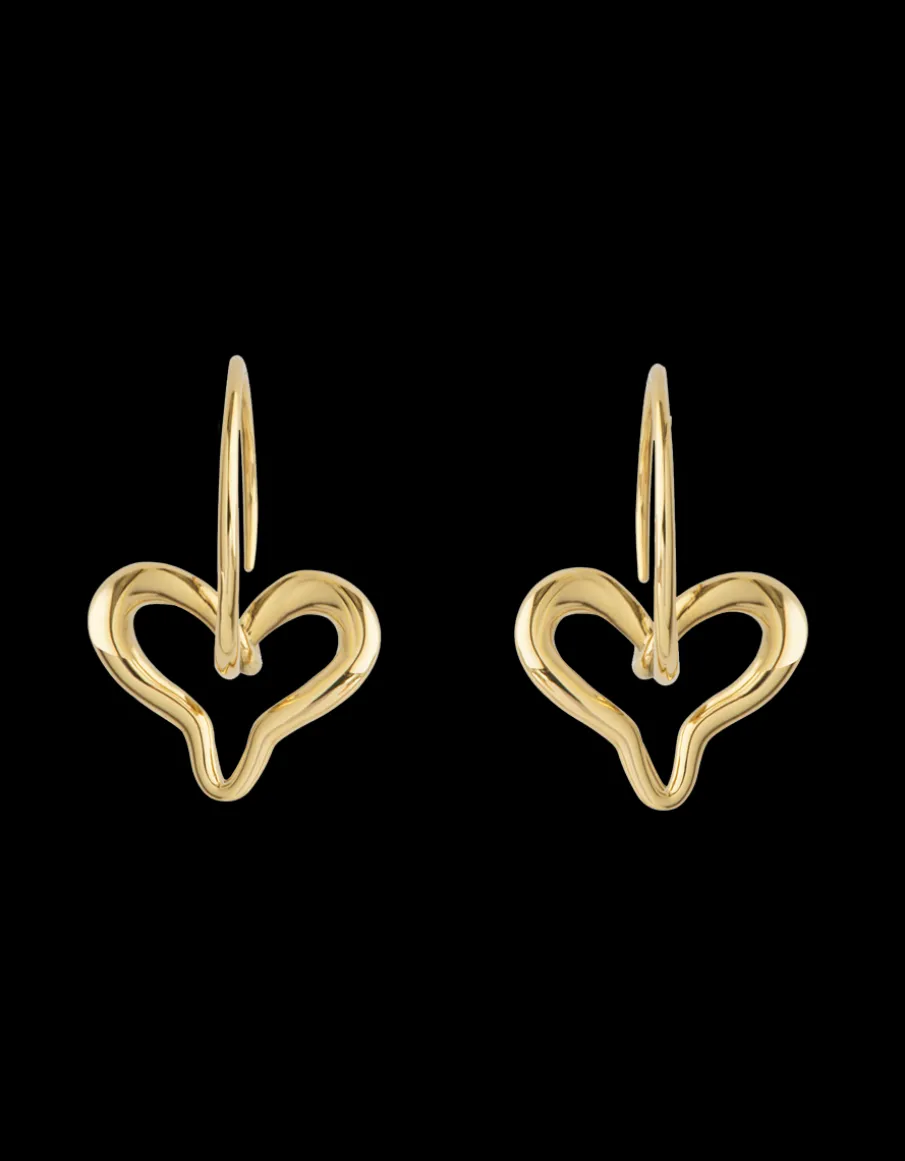 MISUI PENDIENTES EVOLVE